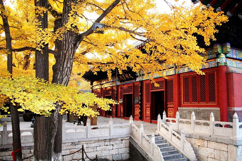 青龍峽踏青、紅螺寺賞紅